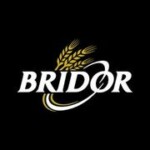 logo-bridor-2020-hi-res-1000px-print-scaled